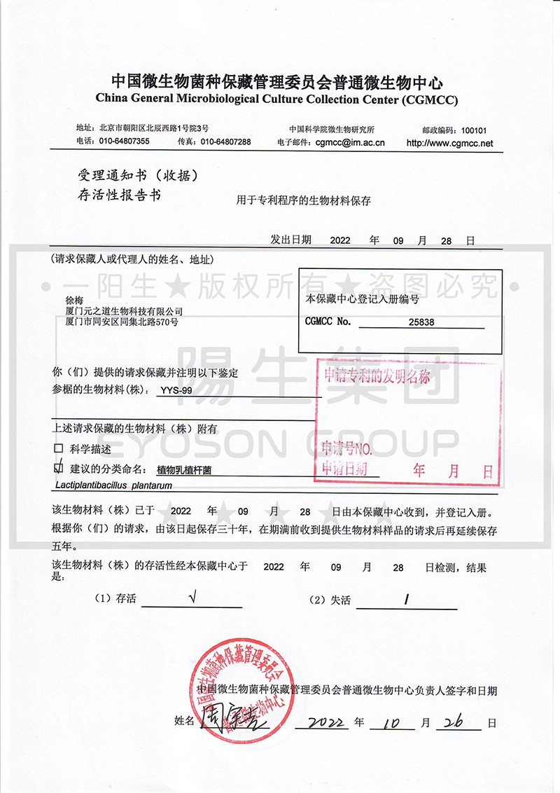 YYS-99-菌种保藏证明